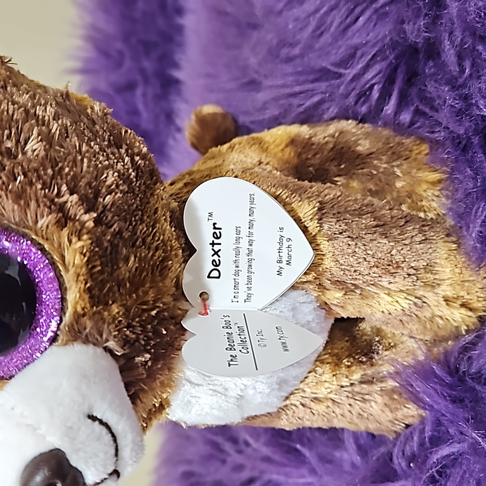 TY, Dexter, The Beanie Boo Collection - Picture 4 of 7